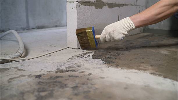24/7 Emergency Crawl Space Encapsulation experts in Nunda, NY